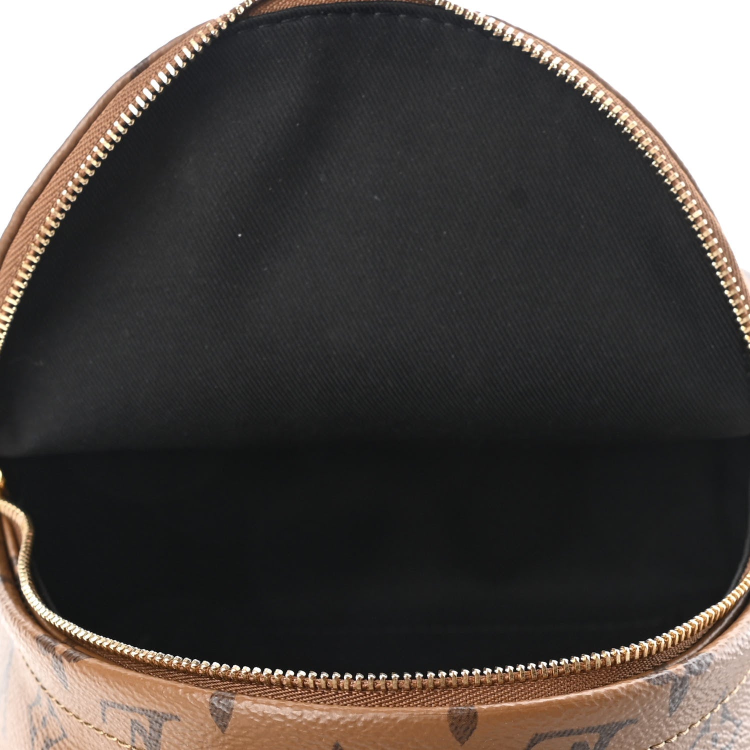 Louis Vuitton Reverse Monogram Palm Springs Backpack Mini 4 of 4