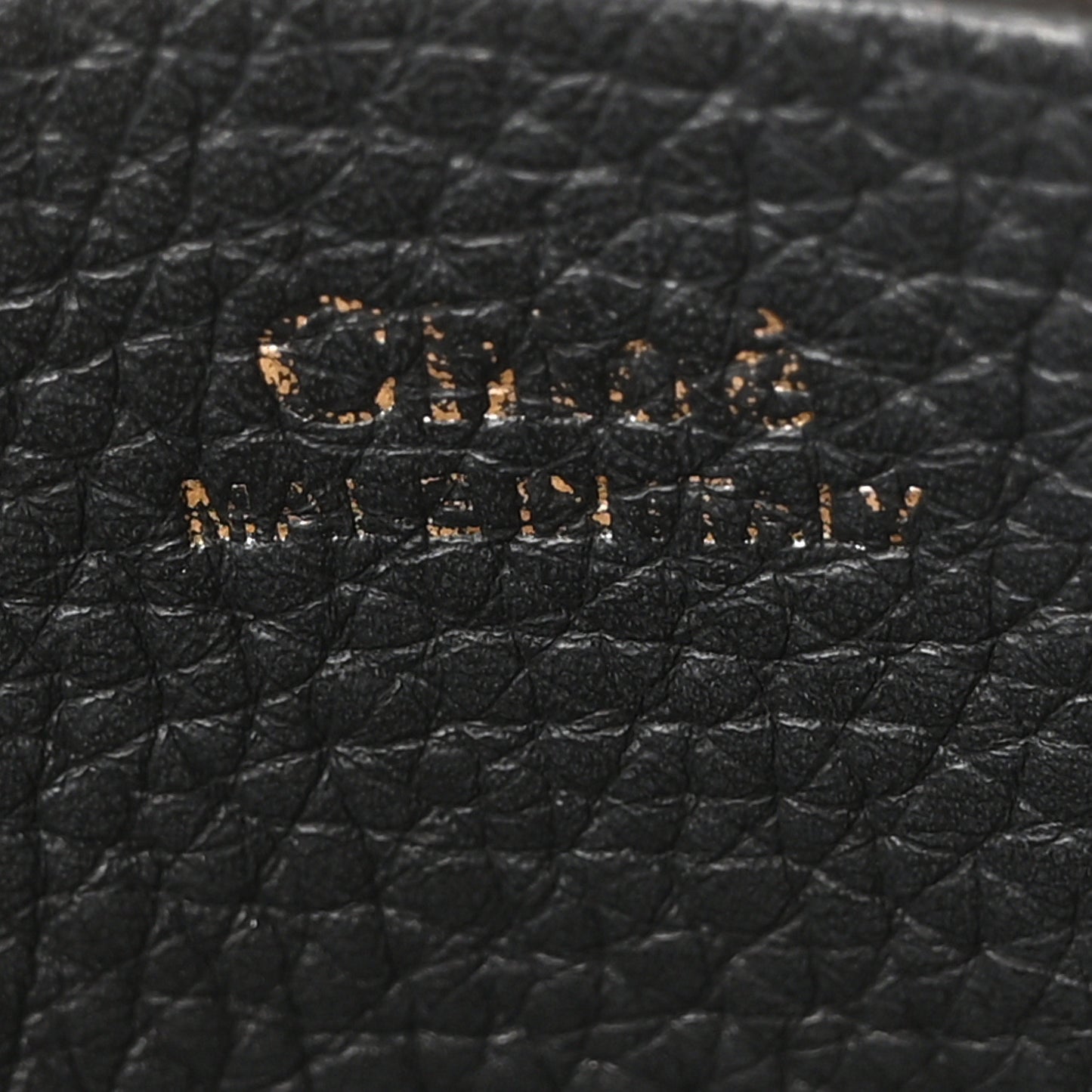 Grained Calfskin Mini Hayley Hobo Black