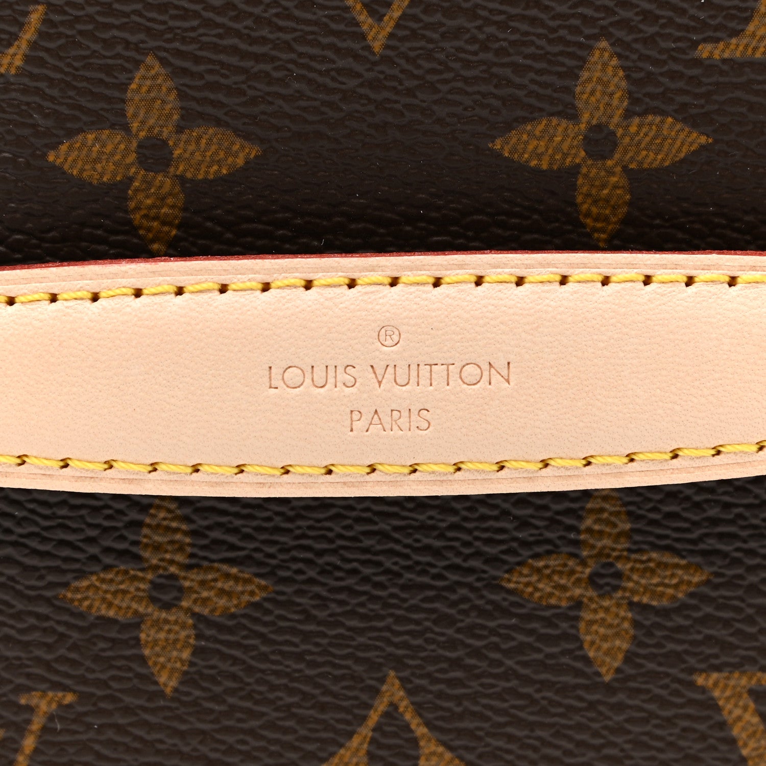 Louis Vuitton Monogram Nice Mini 10 of 11
