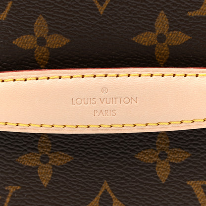 Louis Vuitton Monogram Nice Mini 10 of 11
