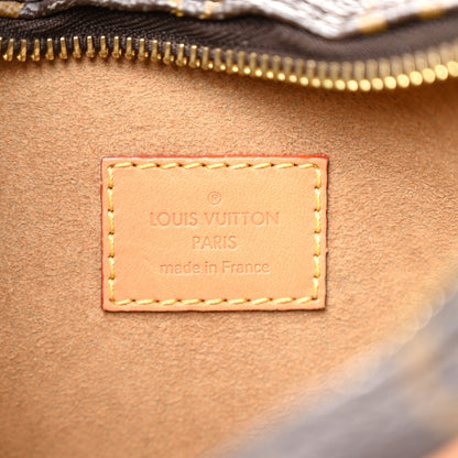 Louis Vuitton Monogram Loop 6 of 10