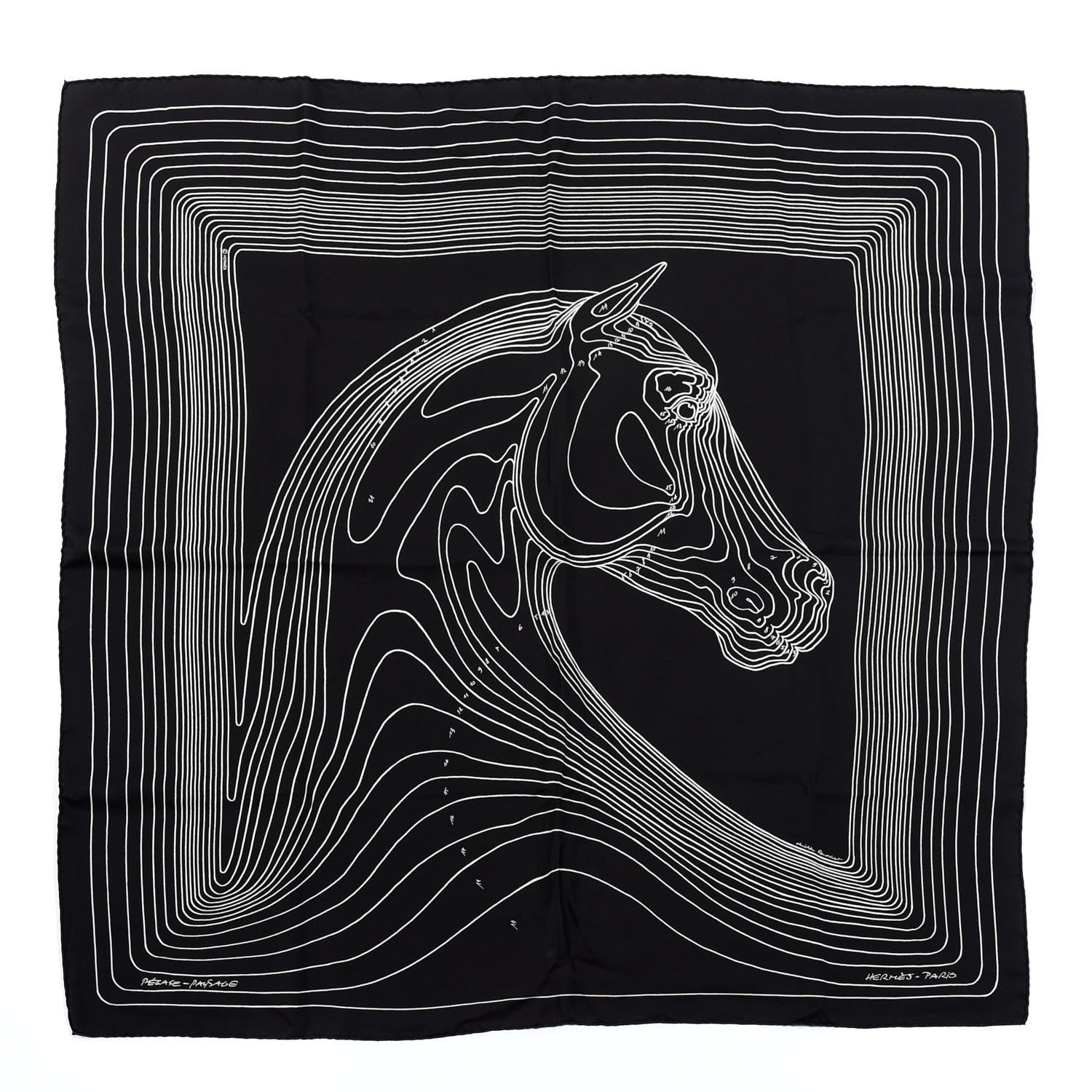 Hermes Silk Pegase Paysage Hermes Scarf 90 Black Beige 1 of 7