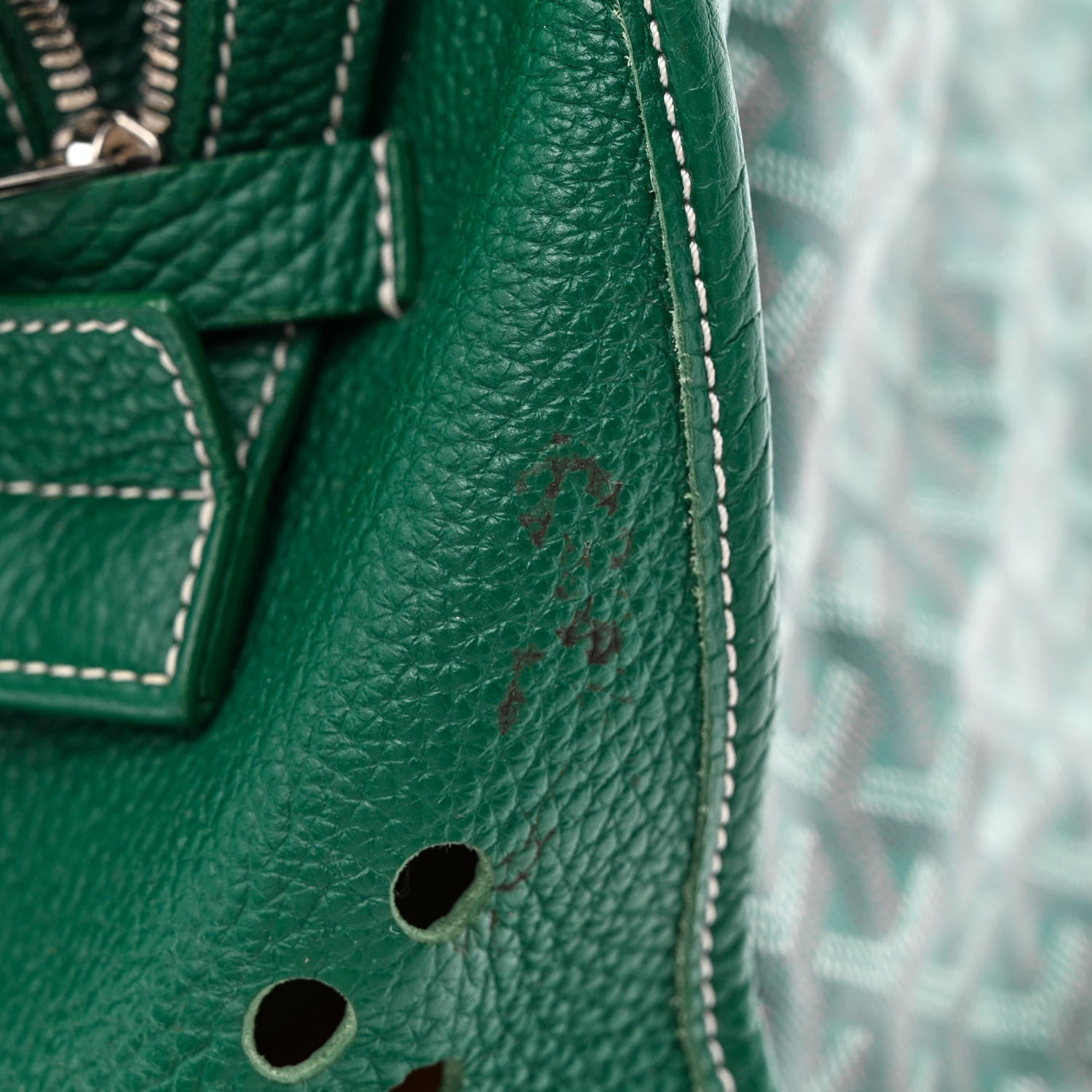Goyard Goyardine Sac Hardy Pet Carrier PM Green 12 of 12