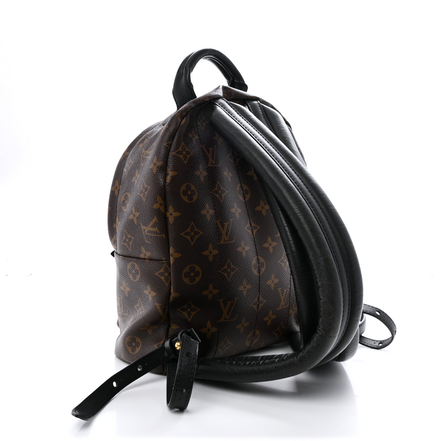 Louis Vuitton Monogram Palm Springs Backpack PM 3 of 24