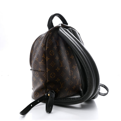 Louis Vuitton Monogram Palm Springs Backpack PM 3 of 24