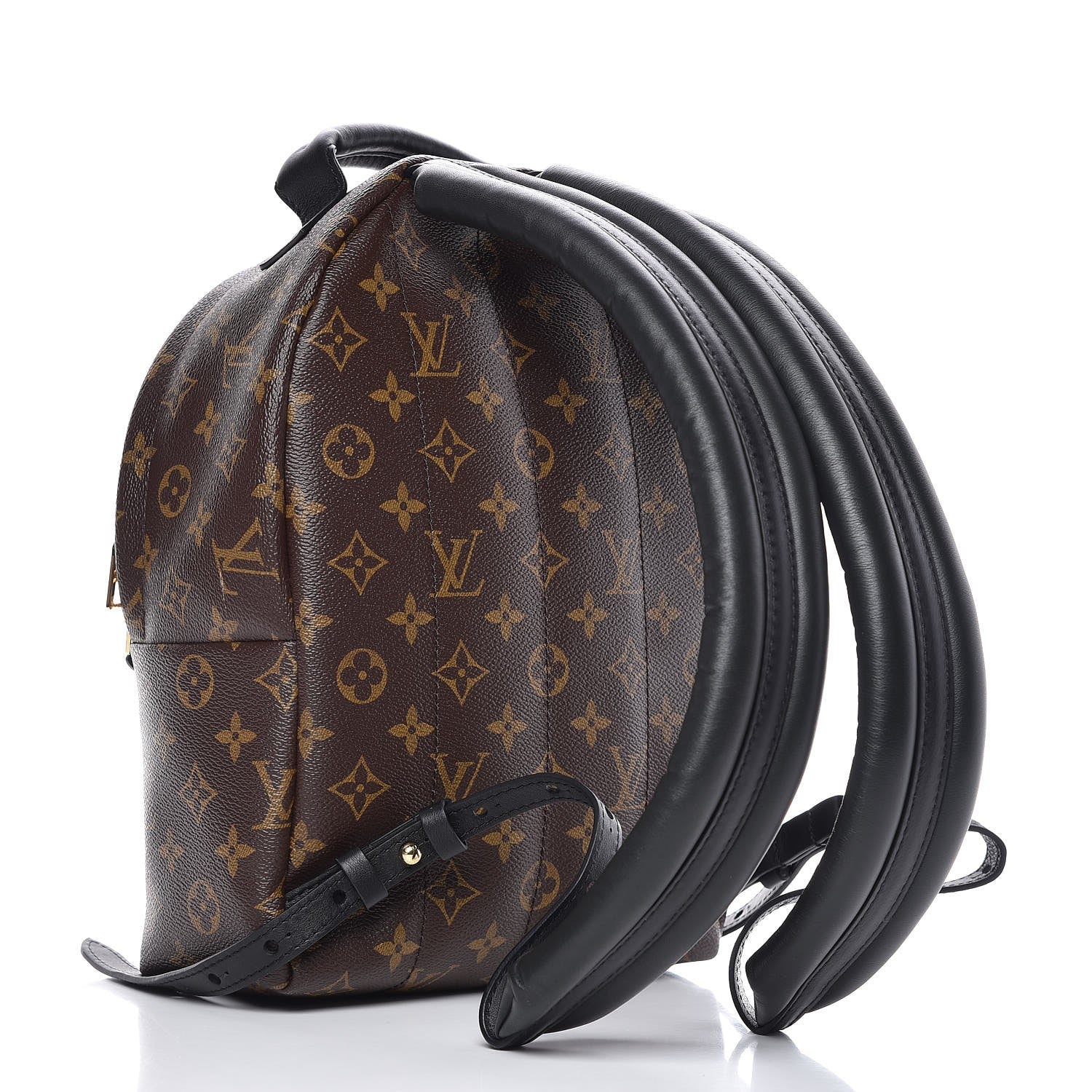 Louis Vuitton Monogram Palm Springs Backpack PM 3 of 8