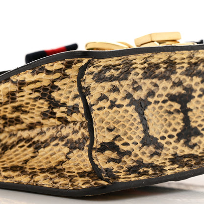 Gucci Snakeskin Mini Sylvie Chain Shoulder Bag Roccia 9 of 17