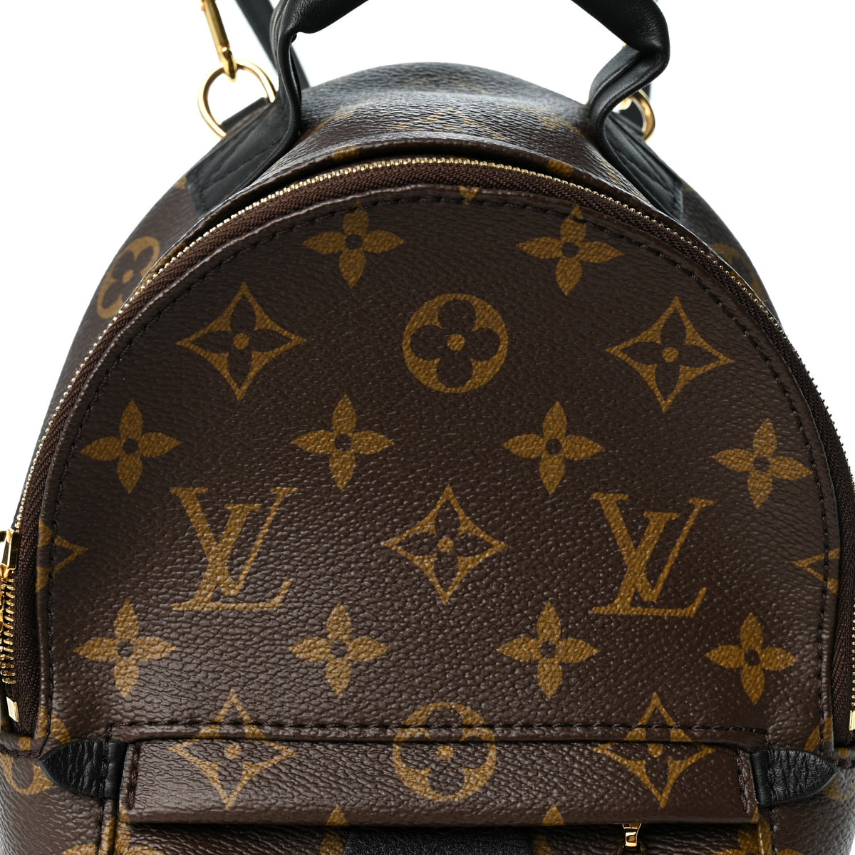Monogram Palm Springs Backpack Mini