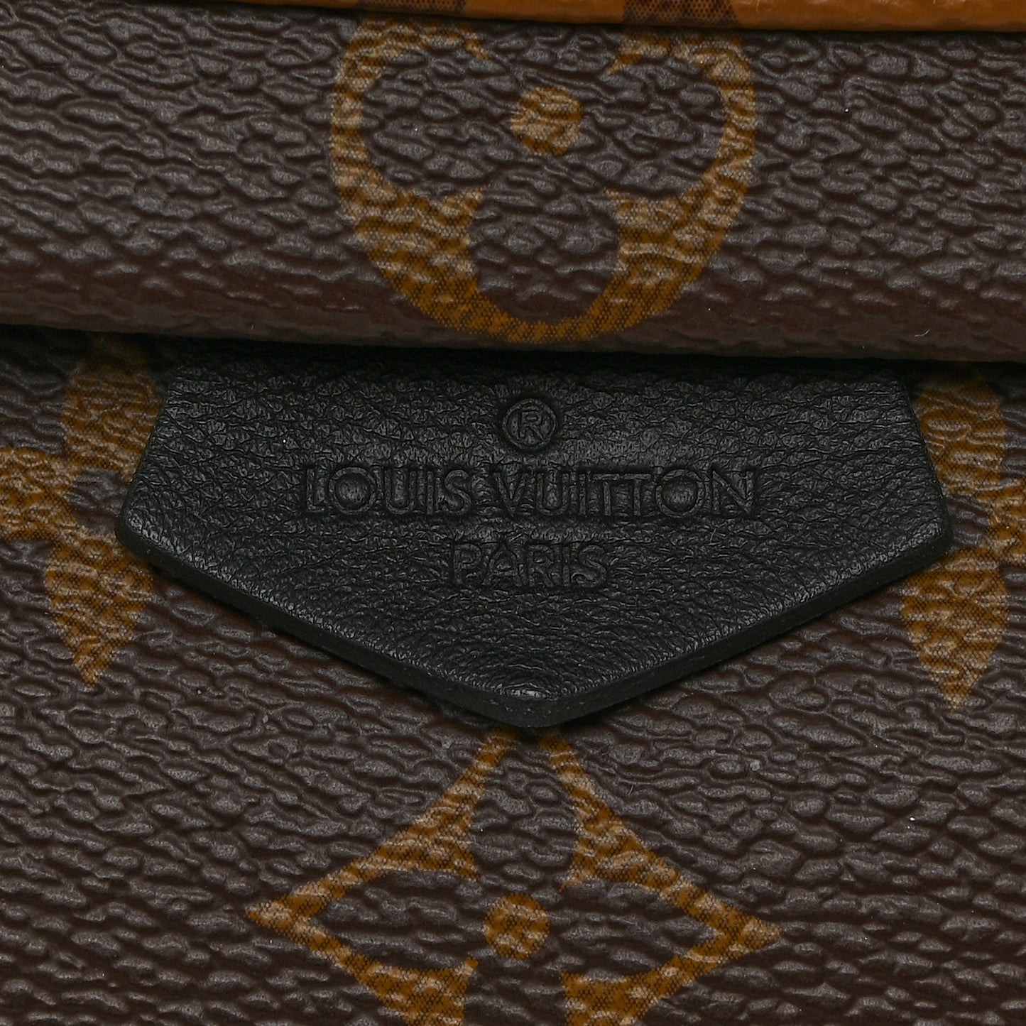 Reverse Monogram Palm Springs Backpack Mini