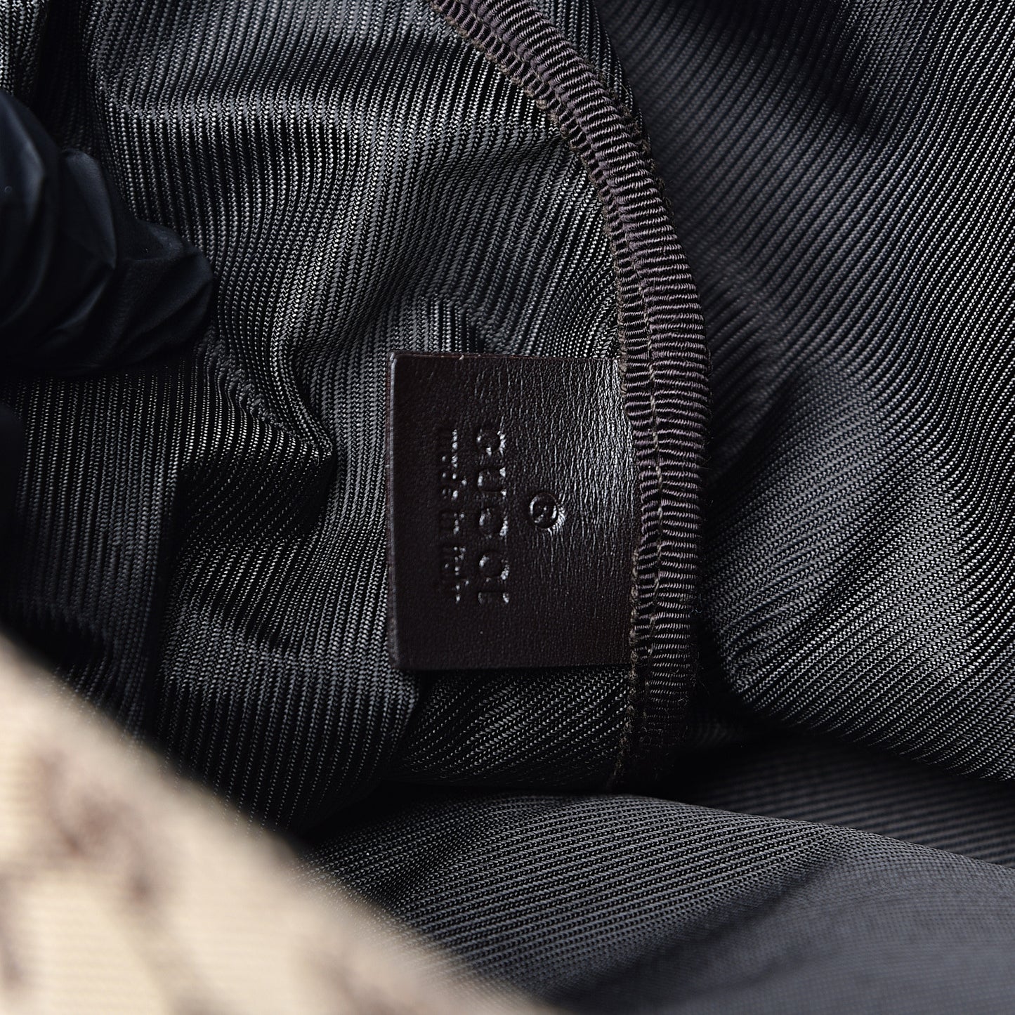Monogram Web Dog Carrier Dark Brown