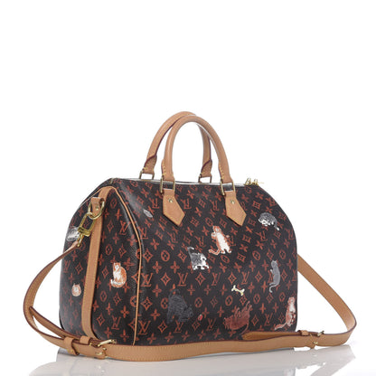 Louis Vuitton Catogram Speedy Bandouliere 30 Marron 3 of 12