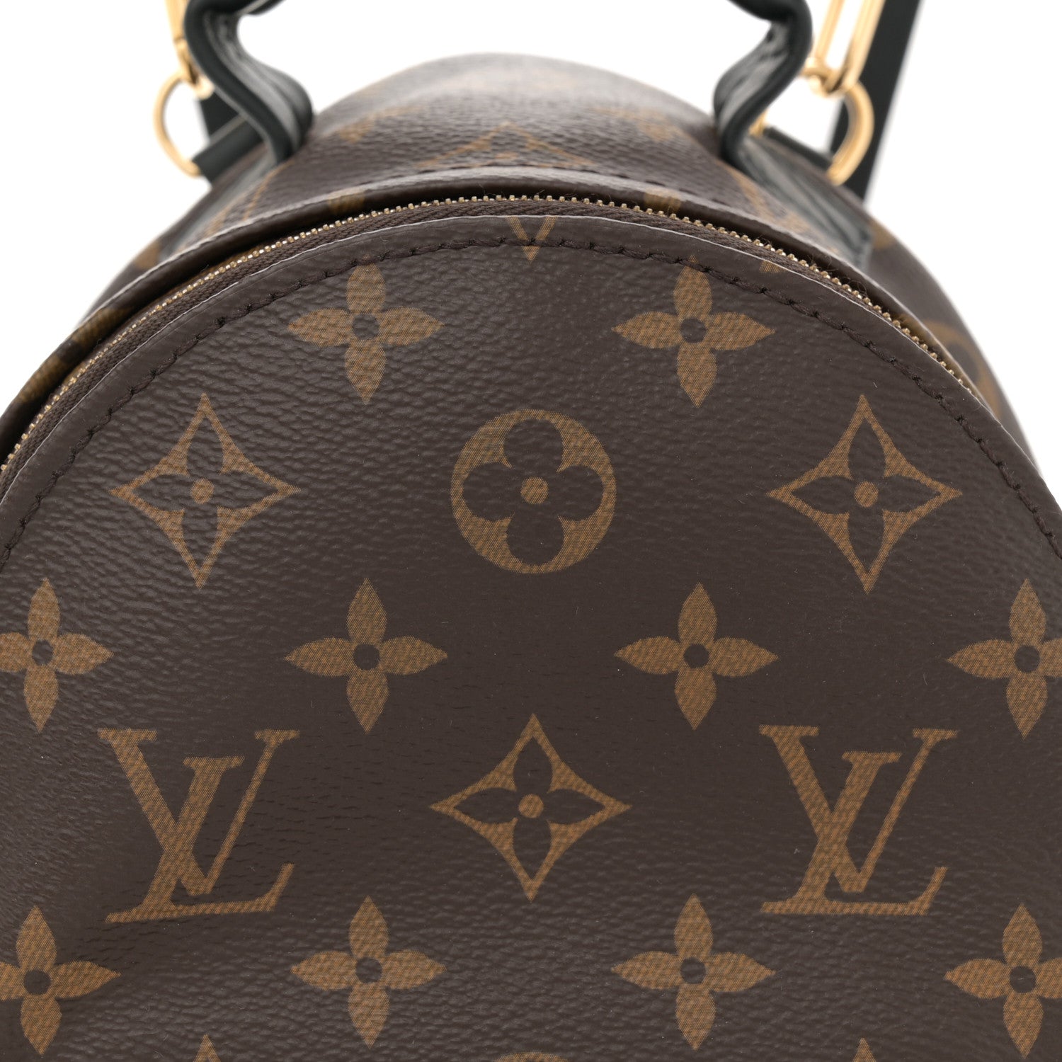 Louis Vuitton Monogram Palm Springs Backpack Mini 7 of 10