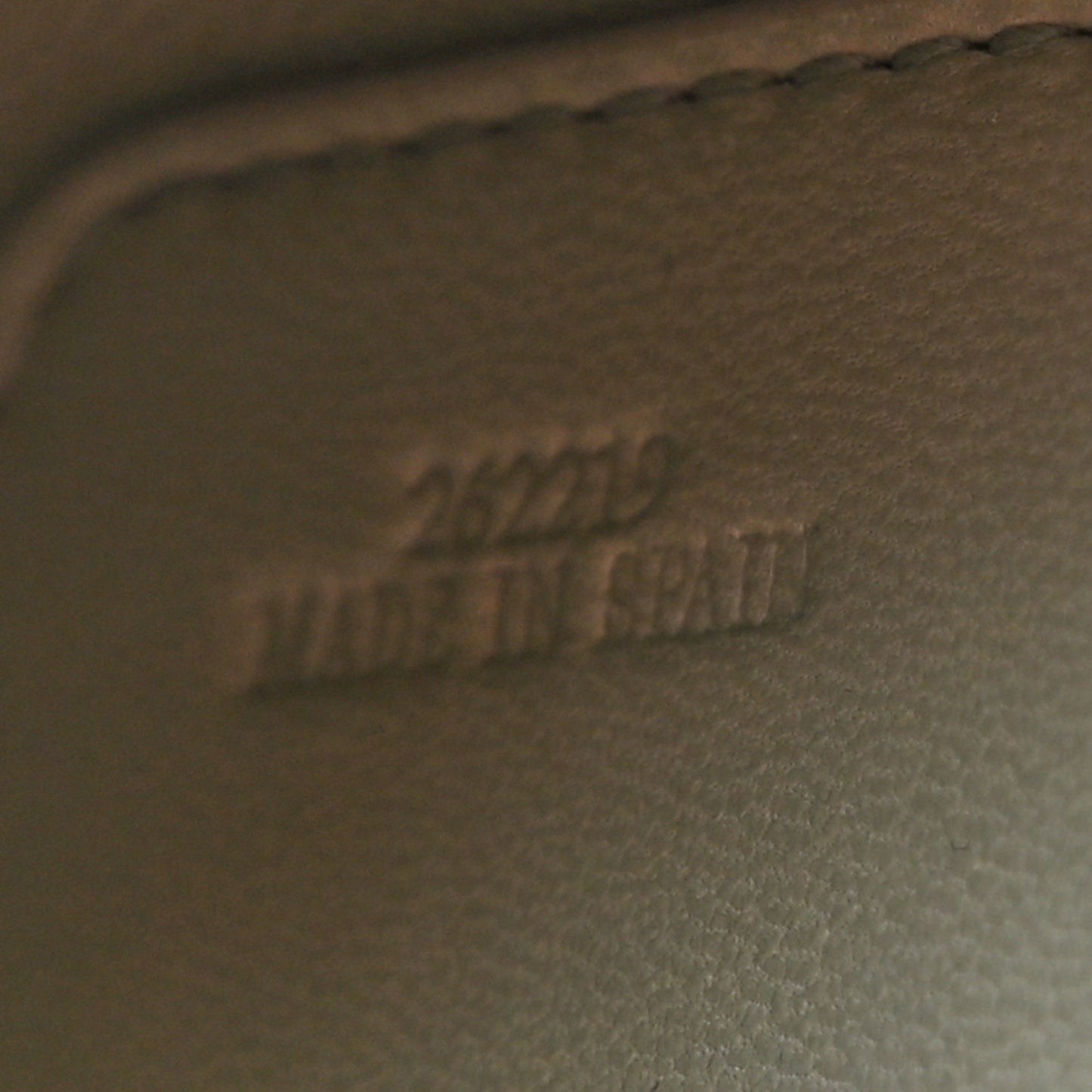 Silk Calfskin Small Goya Bag Nude