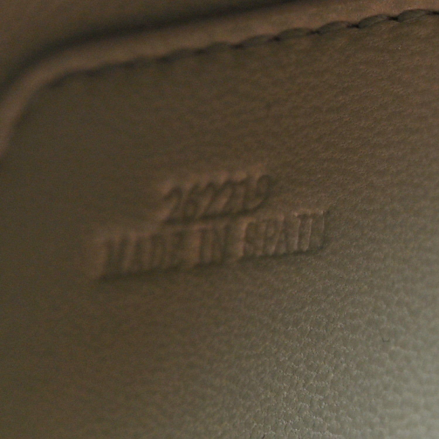 Loewe Silk Calfskin Small Goya Bag Nude 6 of 14