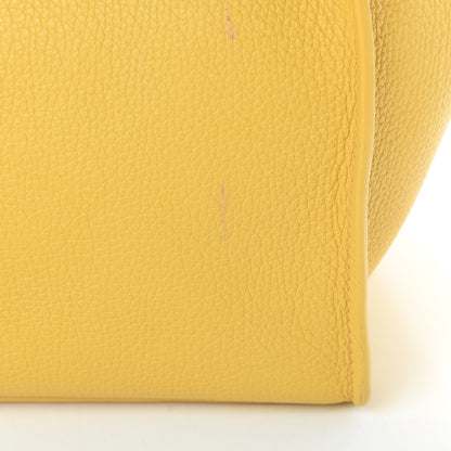 Celine Supple Grained Calfskin Small Long Strap Big Bag Sunflower 16 of 17
