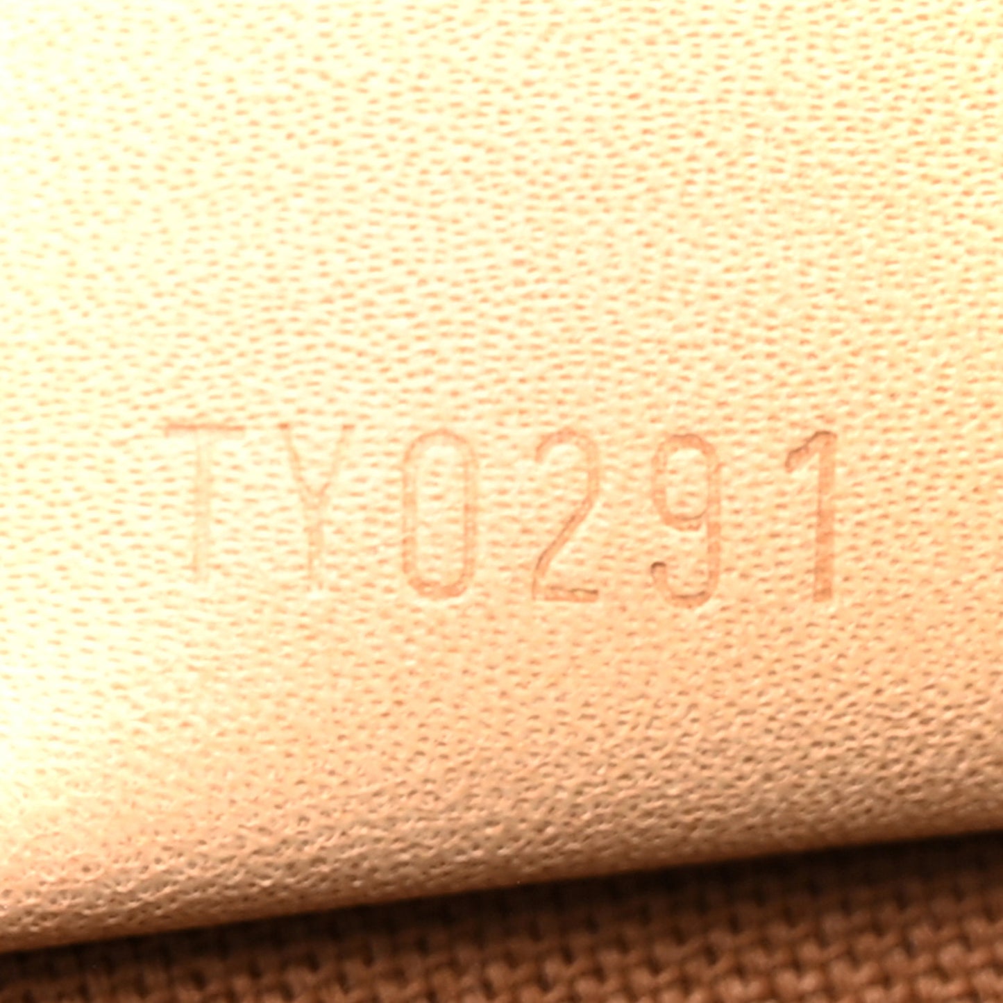 Monogram Nano Speedy Bandouliere