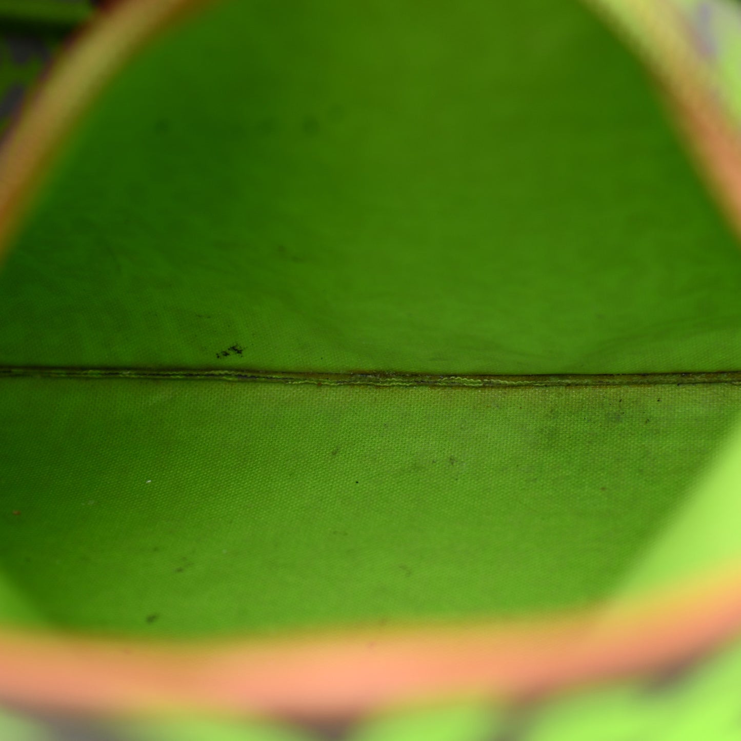 Monogram Graffiti Neverfull GM Green