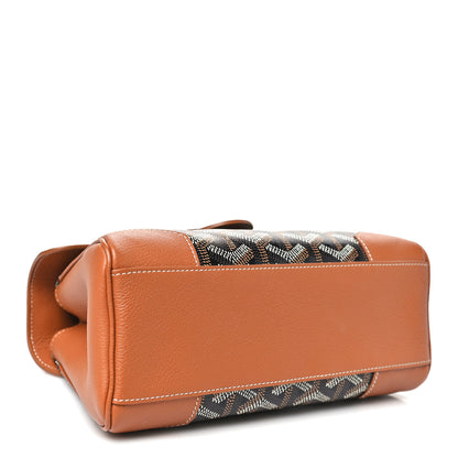 Goyard Goyardine Mini Saigon Black Gold 3 of 9