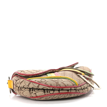 Christian Dior Monogram Rasta Saddle Bag Beige 4 of 13