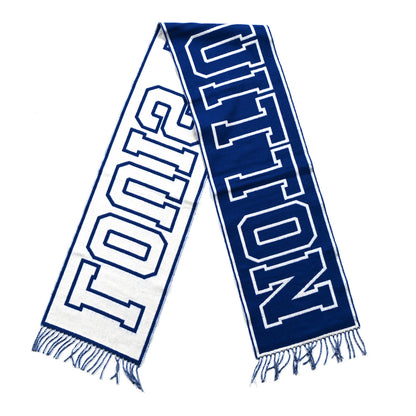 Louis Vuitton Wool Cashmere Louis City Scarf Blue White 2 of 3
