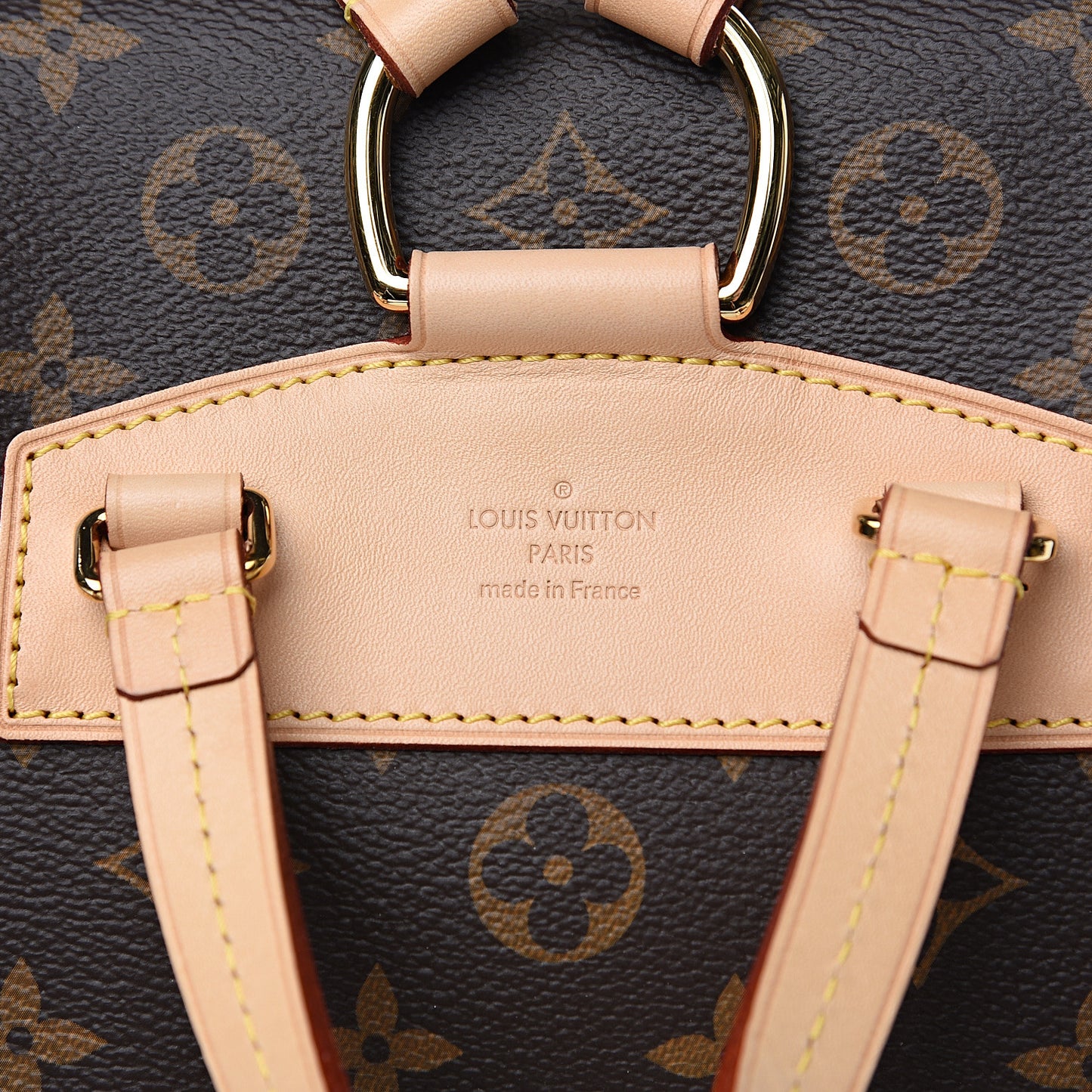 Monogram Montsouris NM Backpack