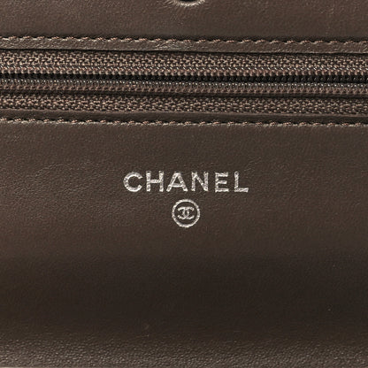 Chanel Snakeskin Wallet On Chain WOC Brown Silver 6 of 11