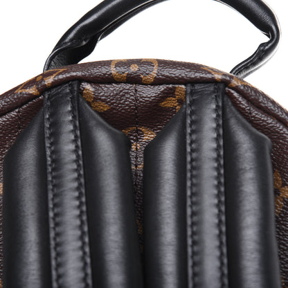 Louis Vuitton Monogram Palm Springs Backpack PM 14 of 14