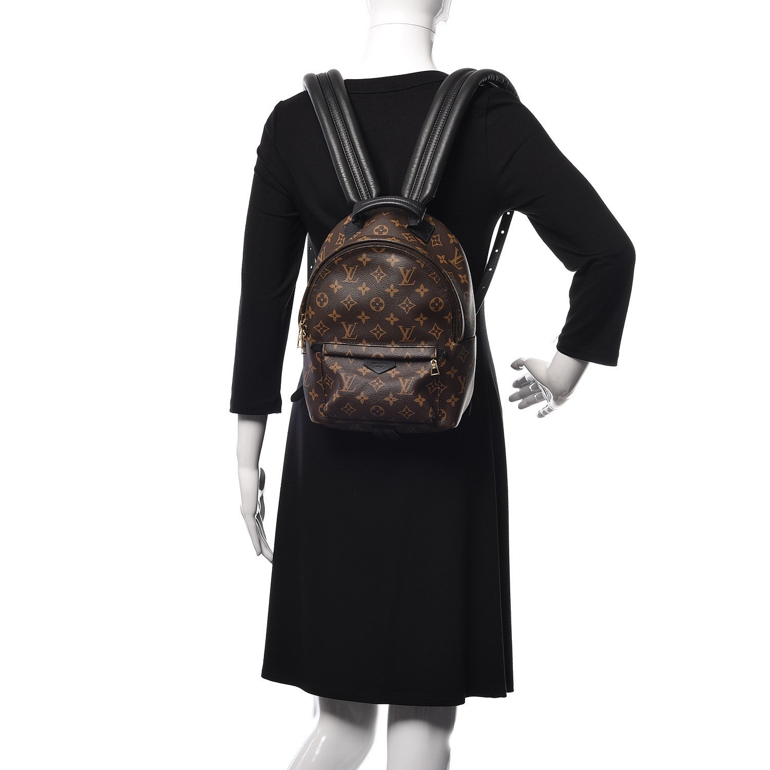 Louis Vuitton Monogram Palm Springs Backpack PM 2 of 9