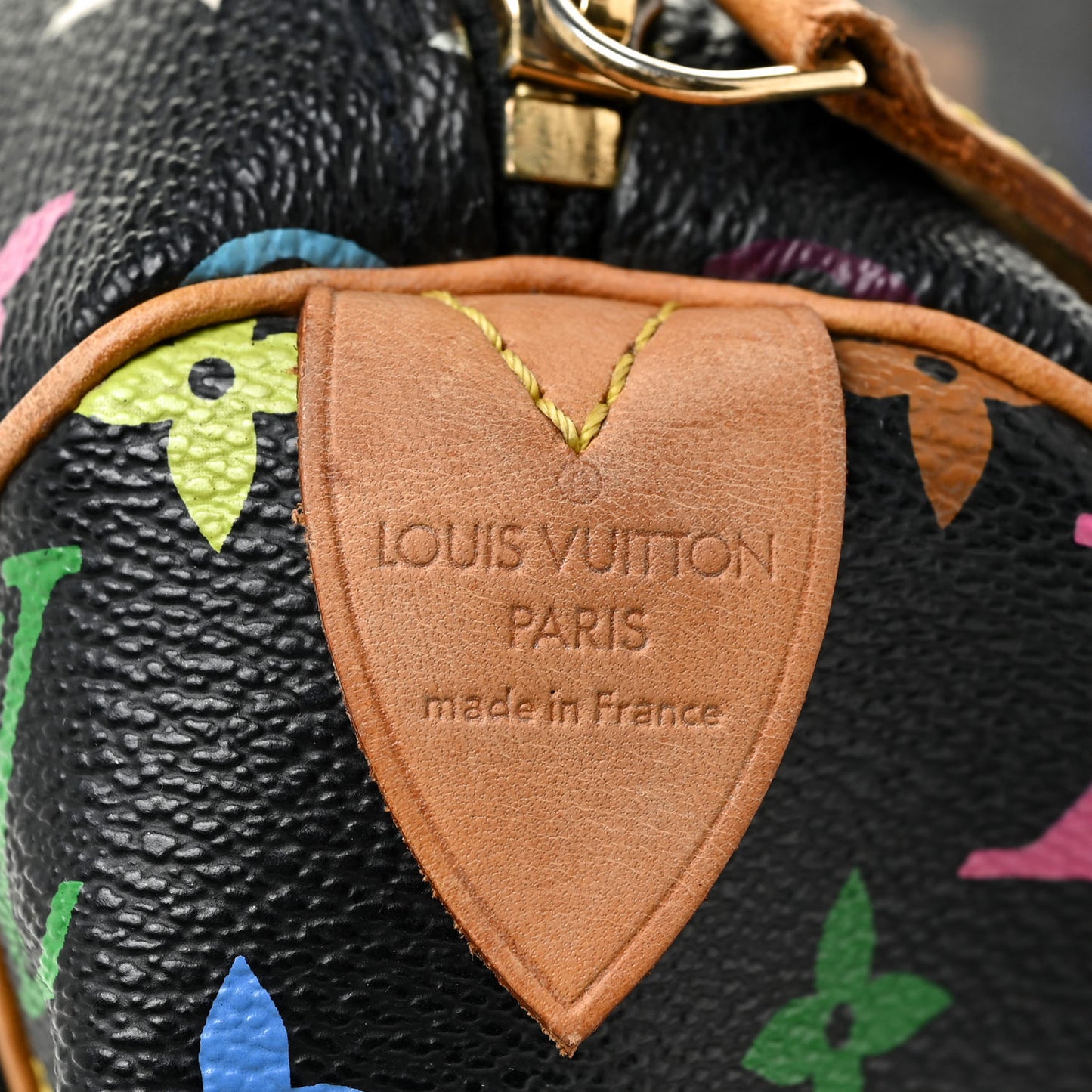 Monogram Multicolor Speedy 30 Black