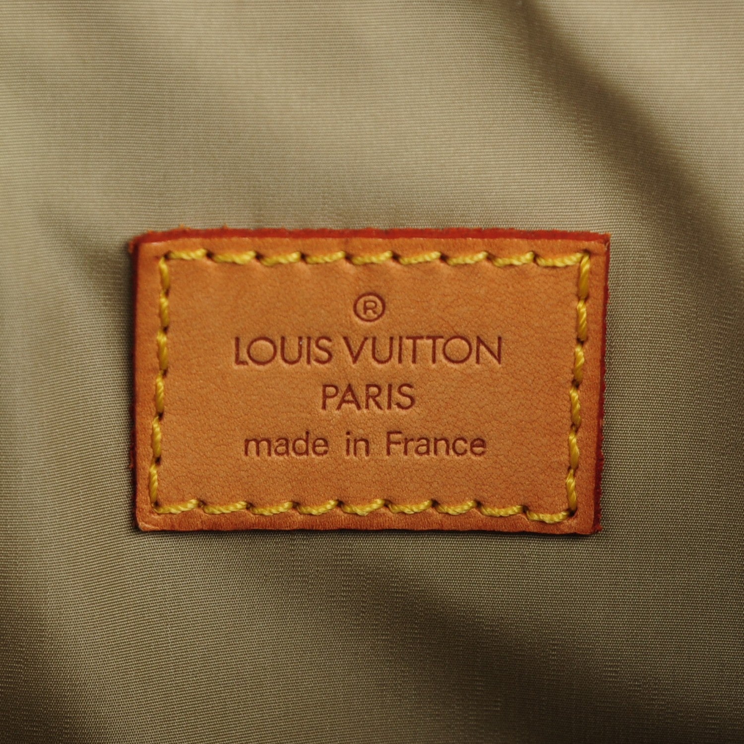 Louis Vuitton Damier Geant Pionnier Backpack Terre 6 of 7