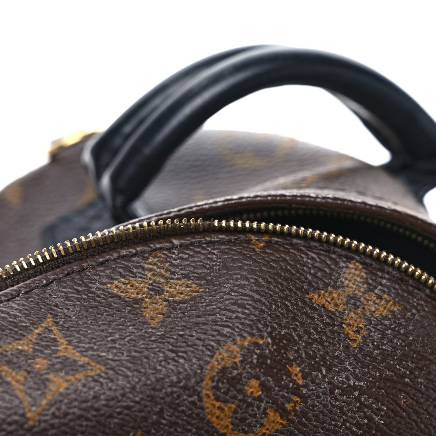 Monogram Palm Springs Backpack Mini
