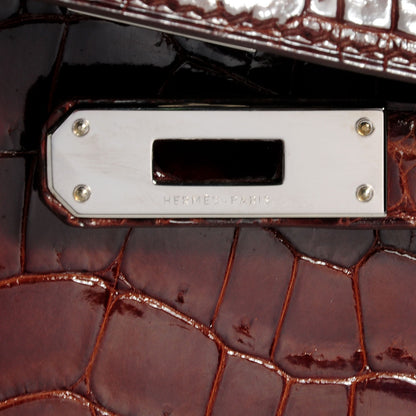 Hermes Shiny Niloticus Crocodile Kelly Cut Pochette Terre 6 of 9