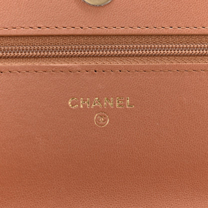 Chanel Lambskin Quilted Chanel 19 Wallet On Chain WOC Brown 6 of 12