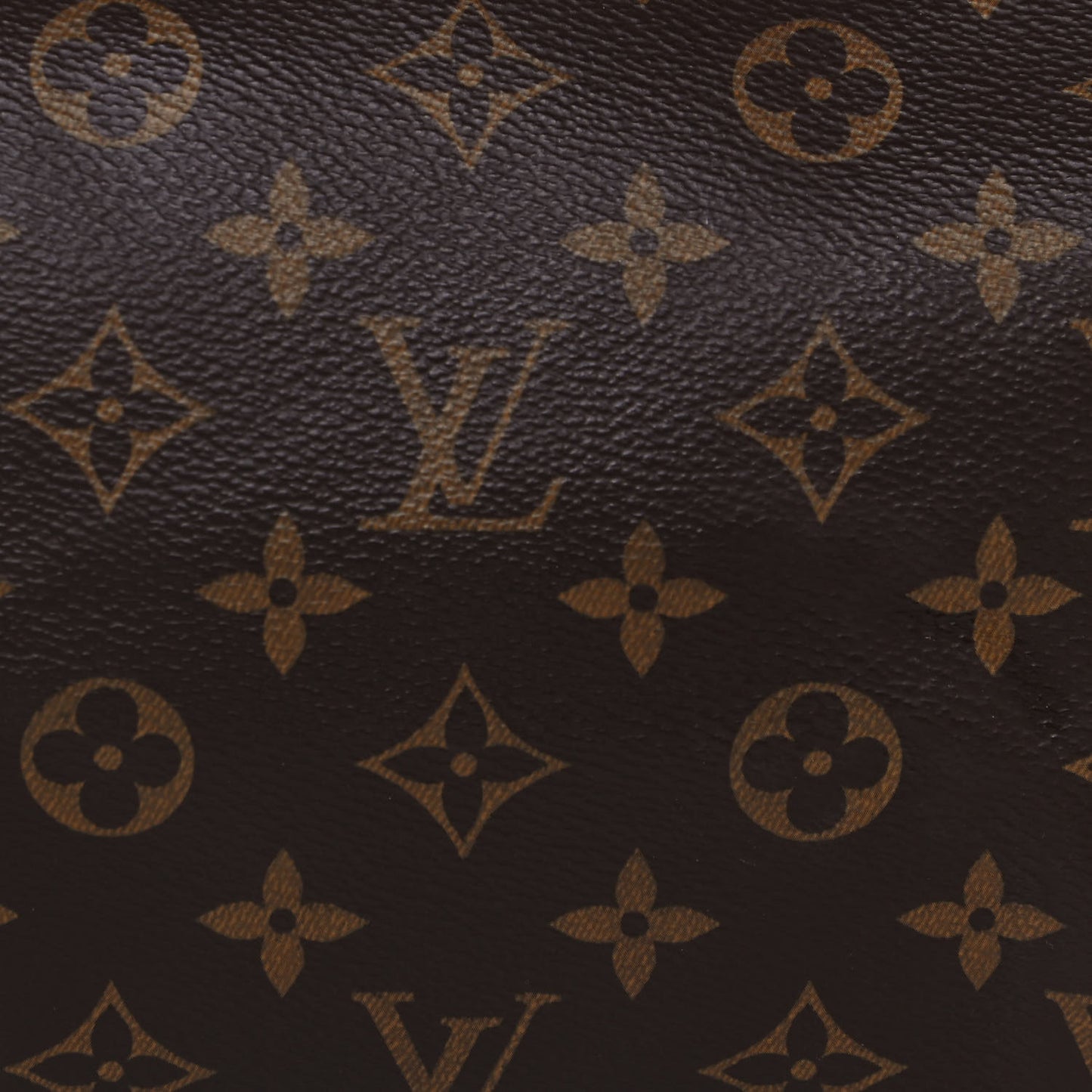 Monogram Speedy Bandouliere 25