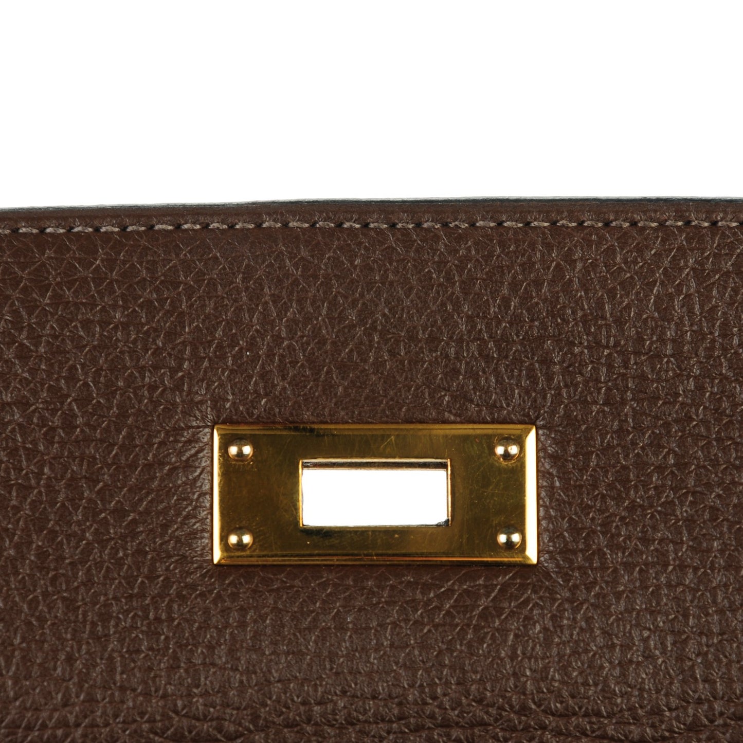 Taurillon Clemence Kelly Retourne 32 Chocolate