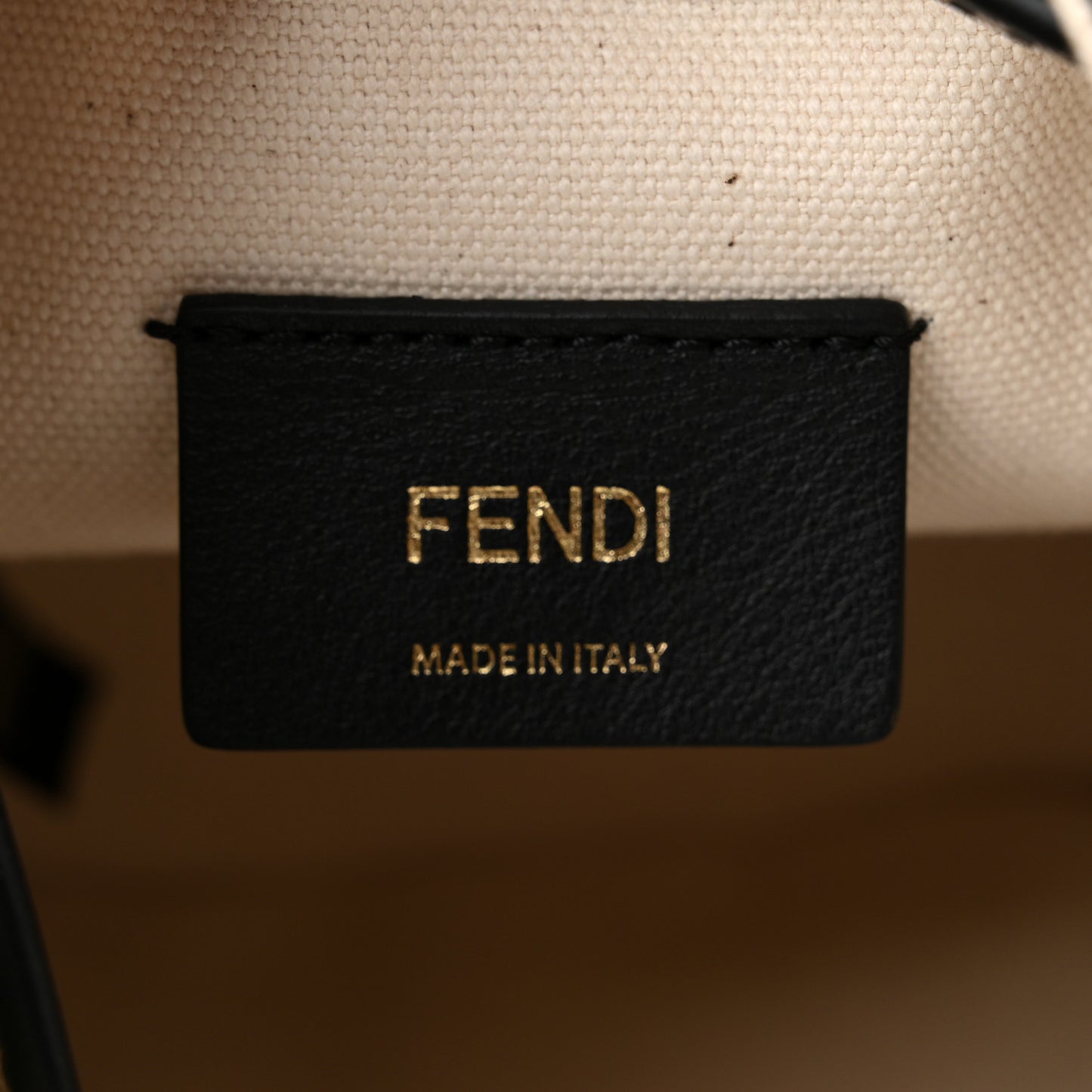 Canvas Vitello King F is Fendi FF Embroidered Mini Mon Tresor Bucket Bag Grezzo Black