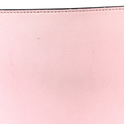 Celine Shiny Smooth Calfskin Small Twisted Cabas Chili Pale Pink 14 of 15