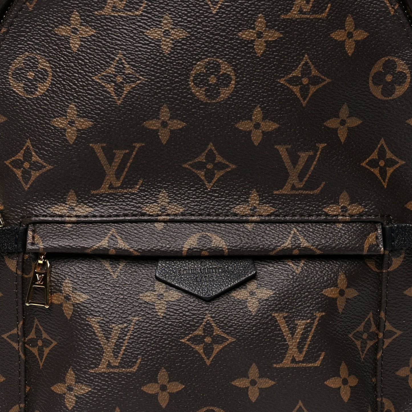 Monogram Palm Springs Backpack PM