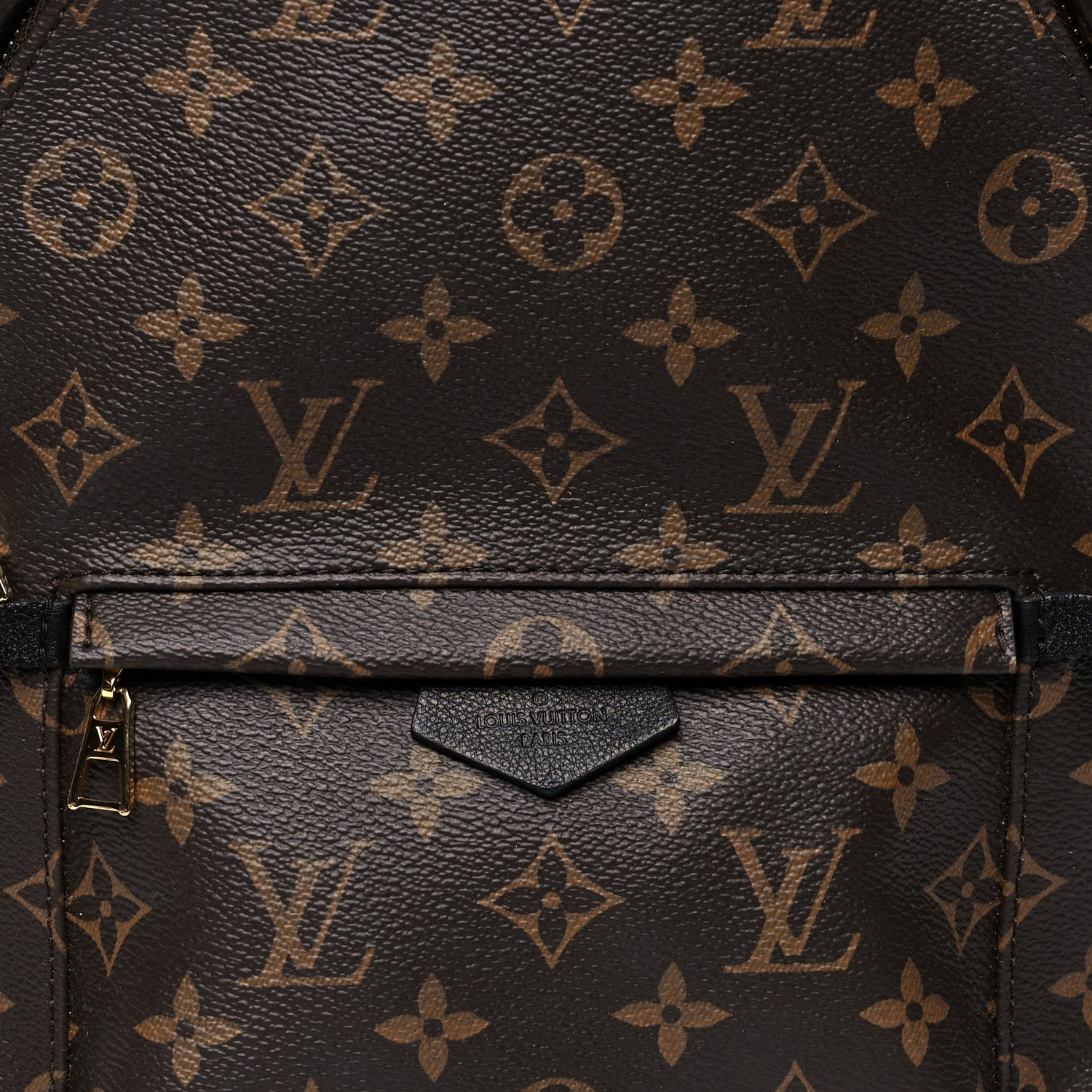 Louis Vuitton Monogram Palm Springs Backpack PM 7 of 11