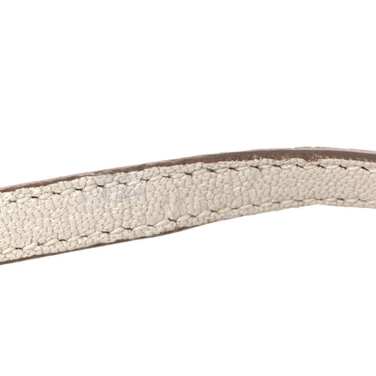 Hermes Chevre Mysore Mini Kelly Sellier 20 Mushroom 12 of 13