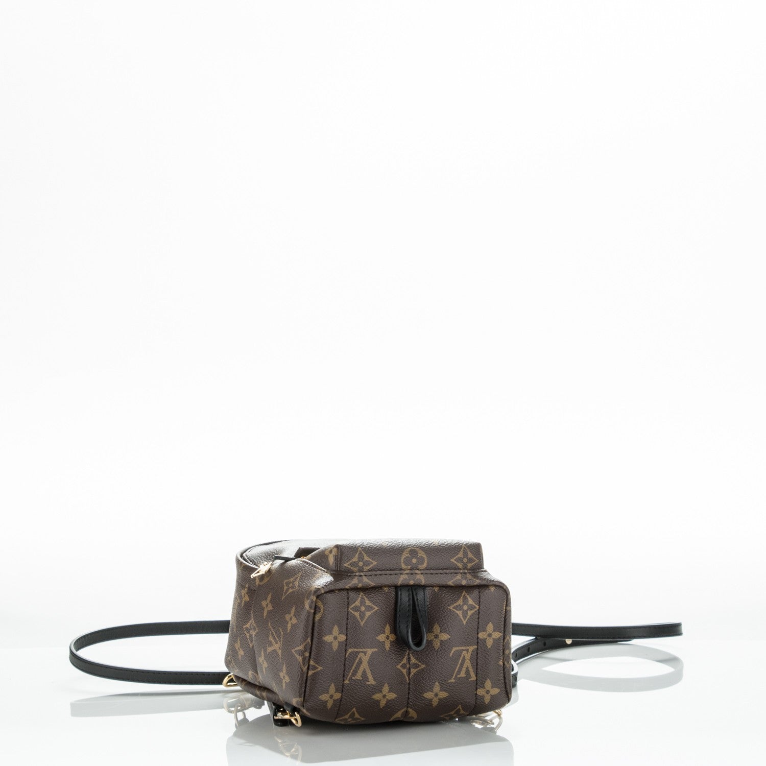 Louis Vuitton Monogram Palm Springs Backpack Mini 4 of 8