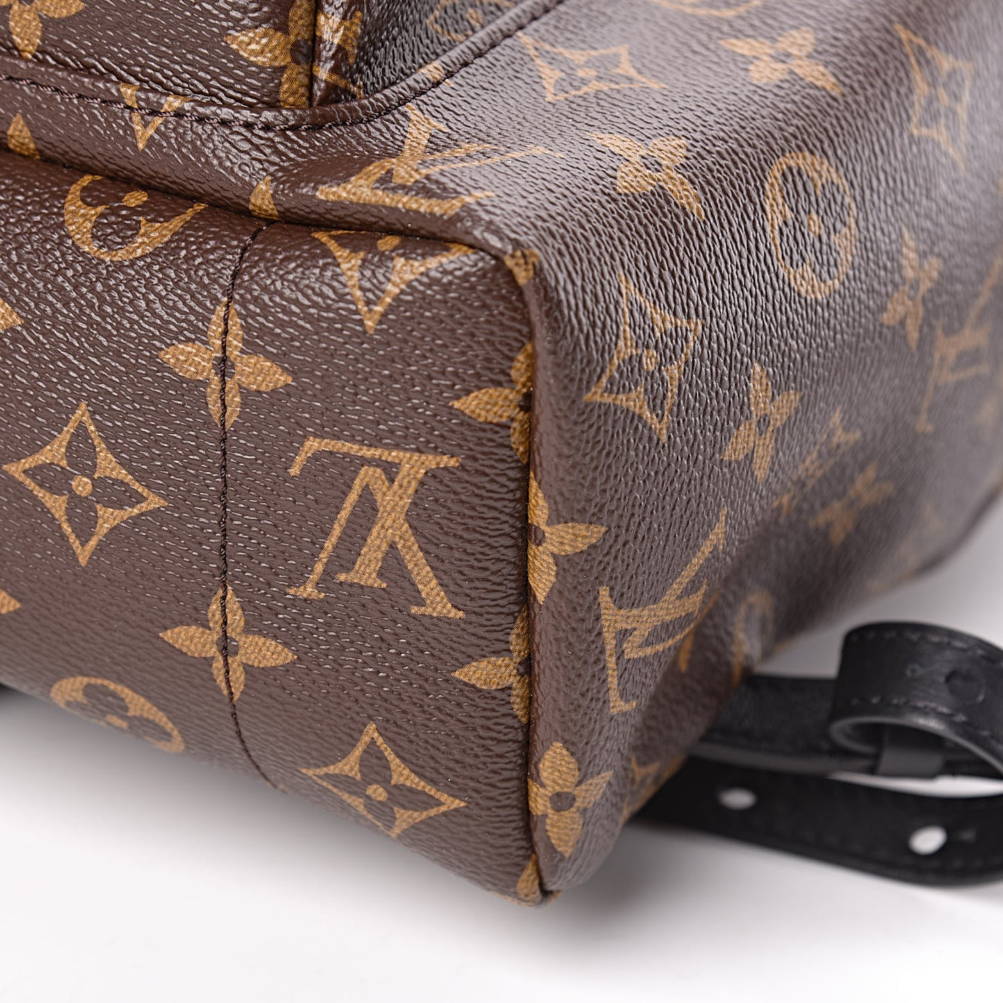 Monogram Palm Springs Backpack MM