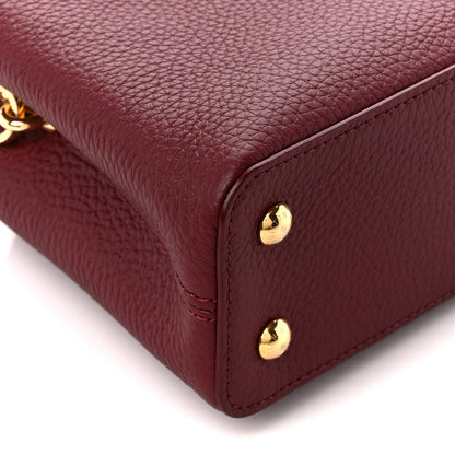 Louis Vuitton Taurillon Ostrich Mini Capucines Griotte Red Honey 8 of 9