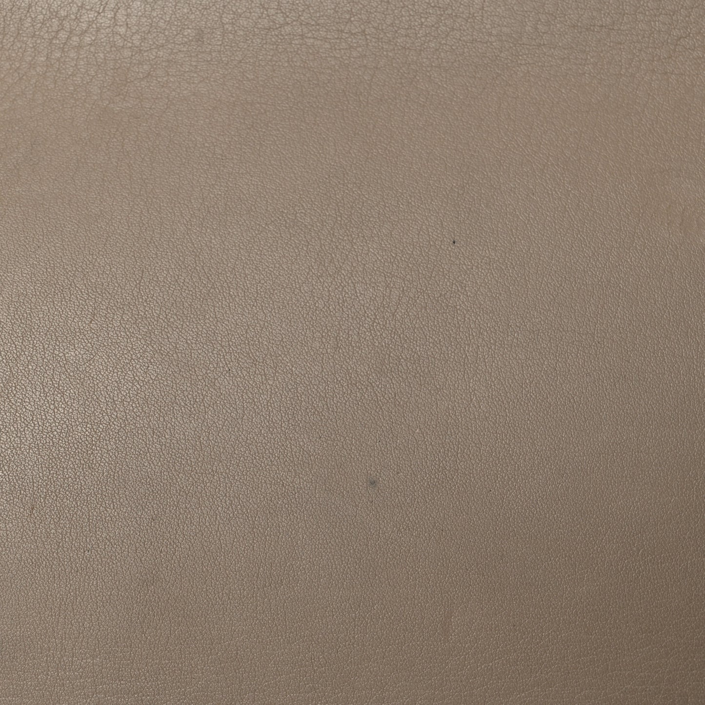 Grained Calfskin Medium Phantom Luggage Taupe