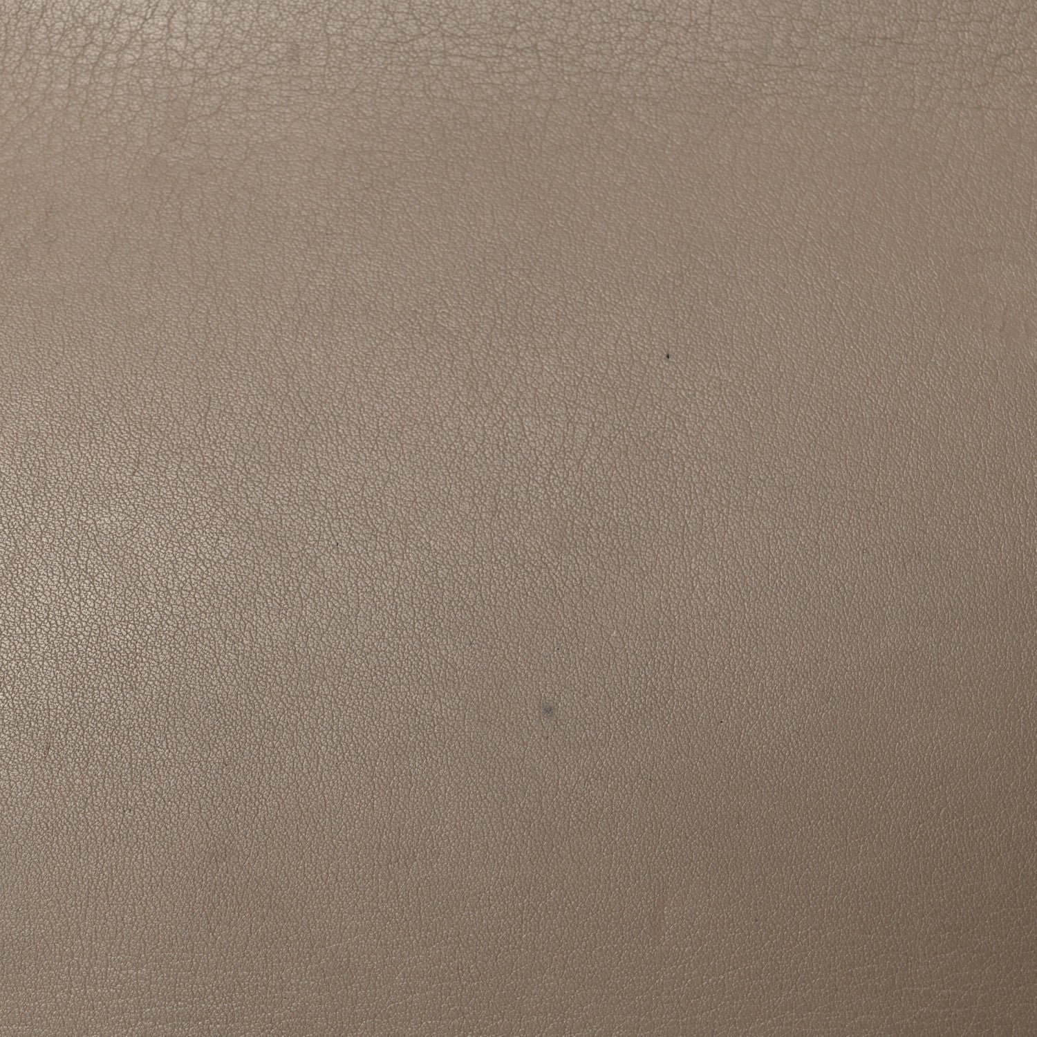 Celine Grained Calfskin Medium Phantom Luggage Taupe 24 of 26