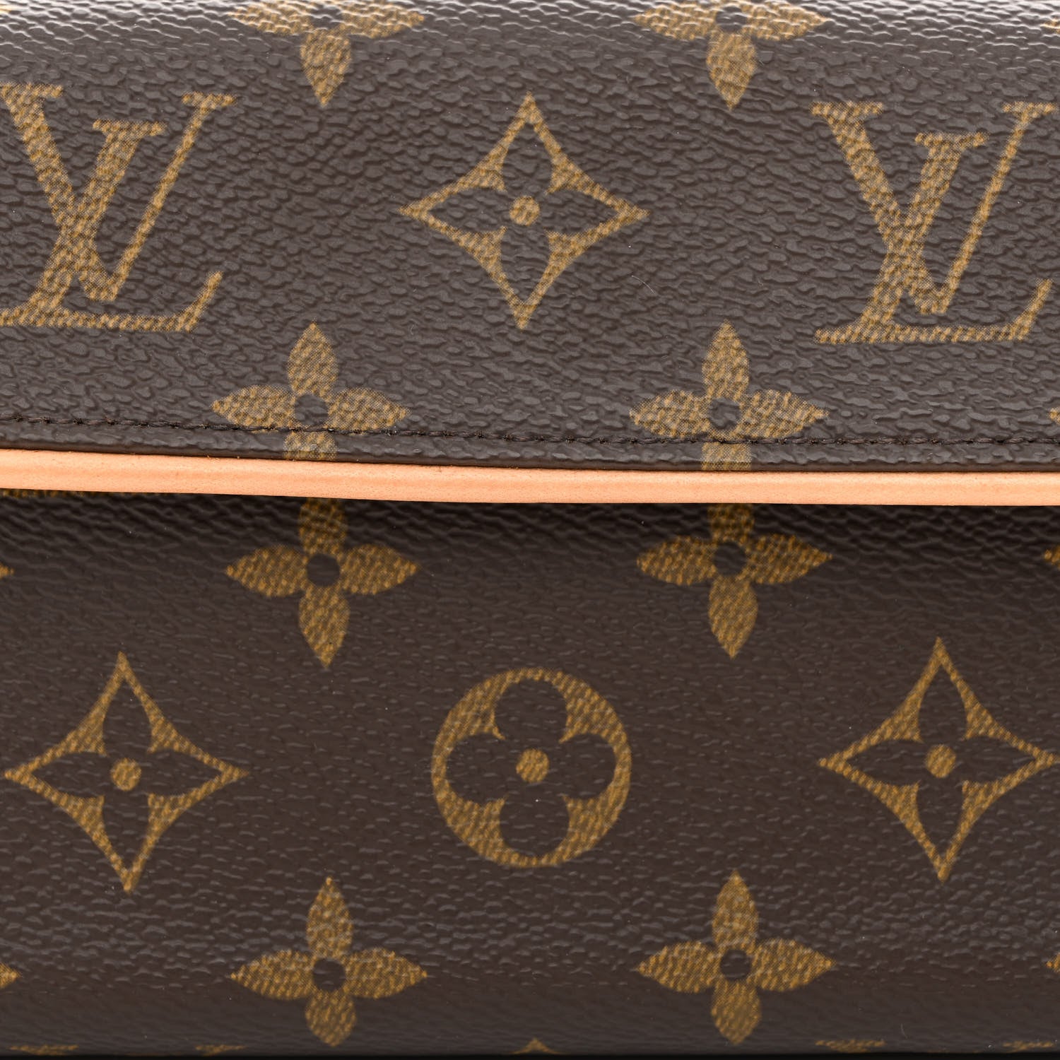 Louis Vuitton Monogram Pochette Florentine M 10 of 12