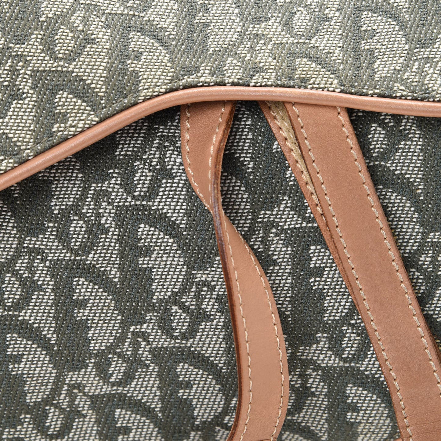 Monogram Double Saddle Bag Green