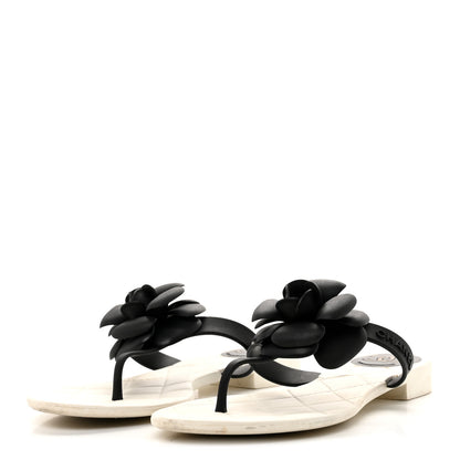 Chanel Jelly Quilted Camellia Thong Sandals 39 White Black 3 of 9