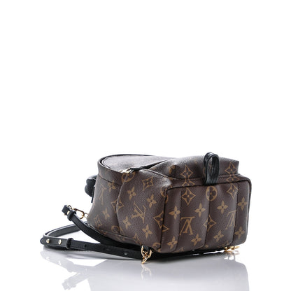 Louis Vuitton Monogram Palm Springs Backpack Mini 4 of 6