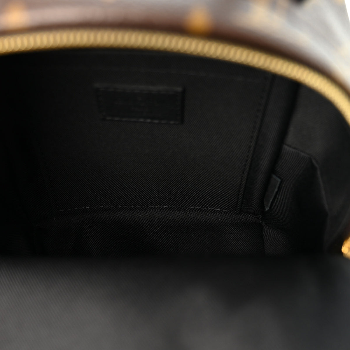 Louis Vuitton Monogram Palm Springs Backpack Mini 5 of 9